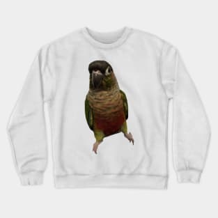 Green Cheek Conure Parrot Bird design, Love for birds Crewneck Sweatshirt